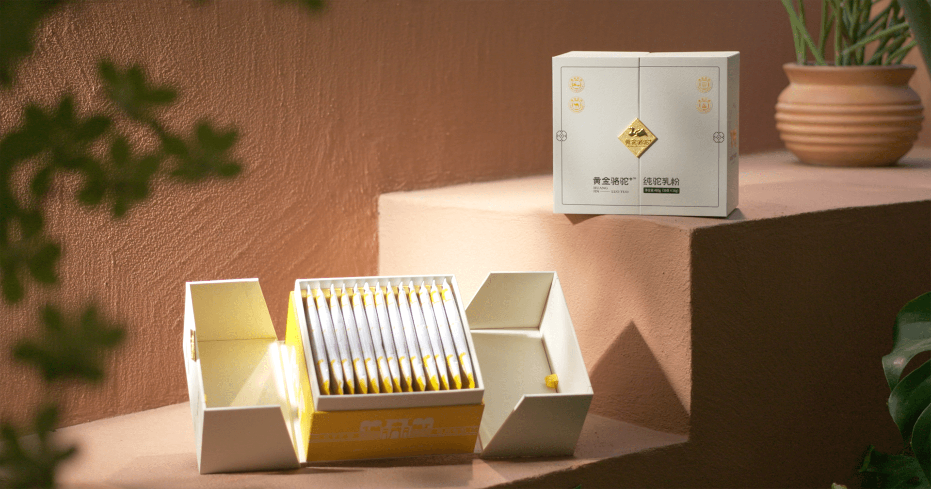 定位小众高端乳粉，ag尊龙登陆入口z6mg推出驼奶品牌“黄金骆驼+”，角逐乳品新市场！