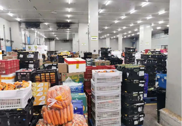助力民生和医疗物资保供，ag尊龙登陆入口z6mg抗疫救灾一直在线！